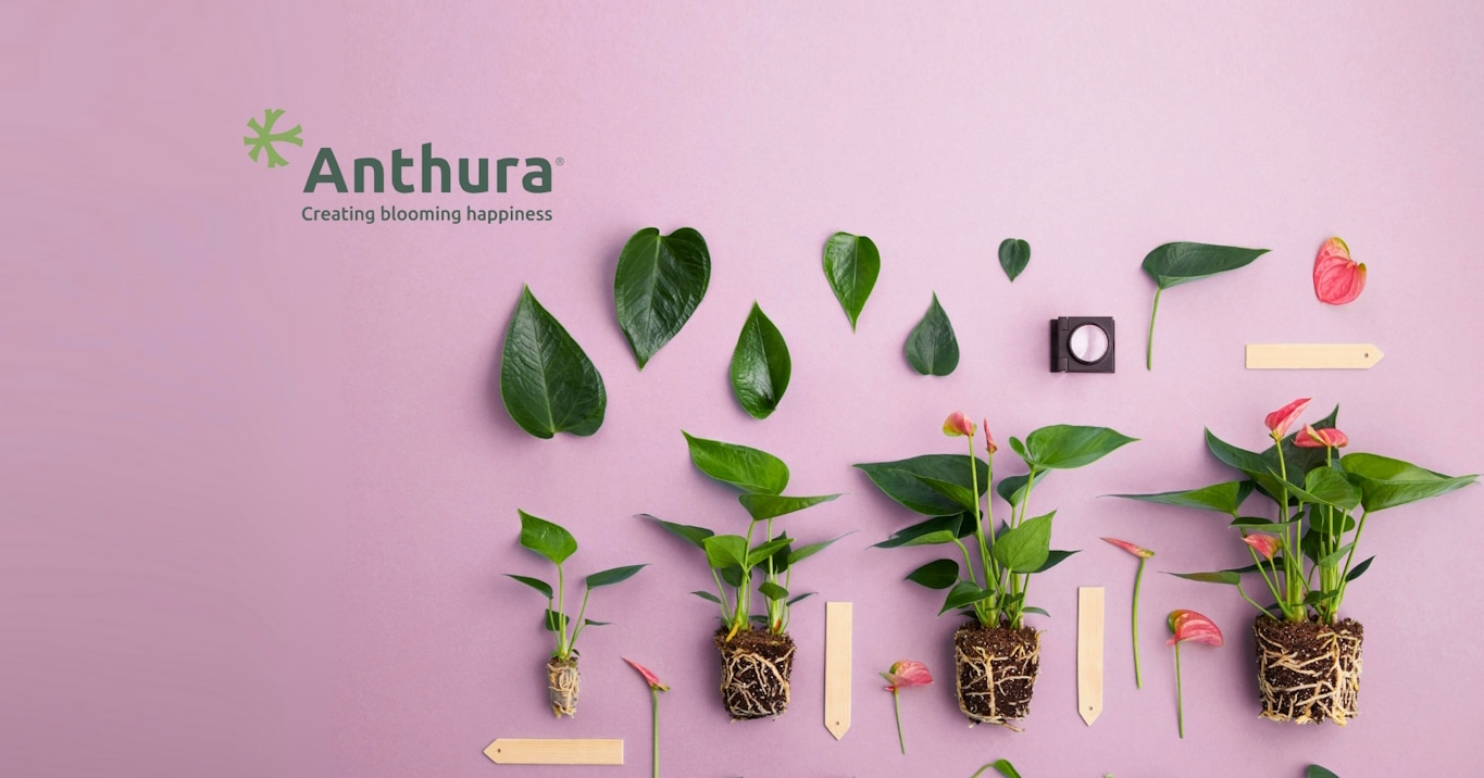 Interim manager marketing en product management bij Anthura